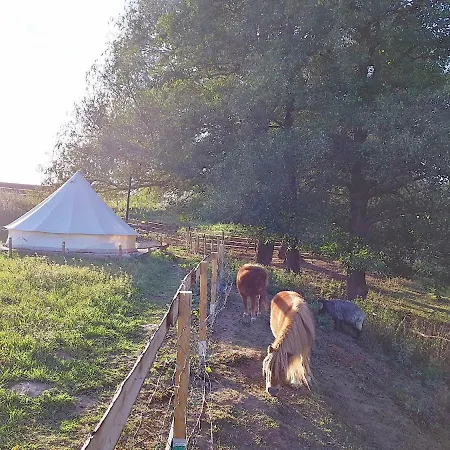 Lodge Glamping Im Safarizelt Breitenworbis