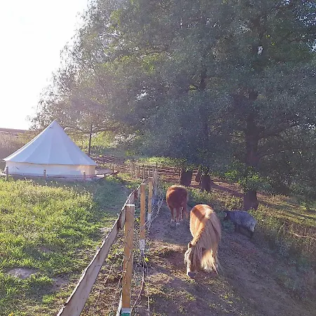 Lodge Glamping Im Safarizelt Breitenworbis
